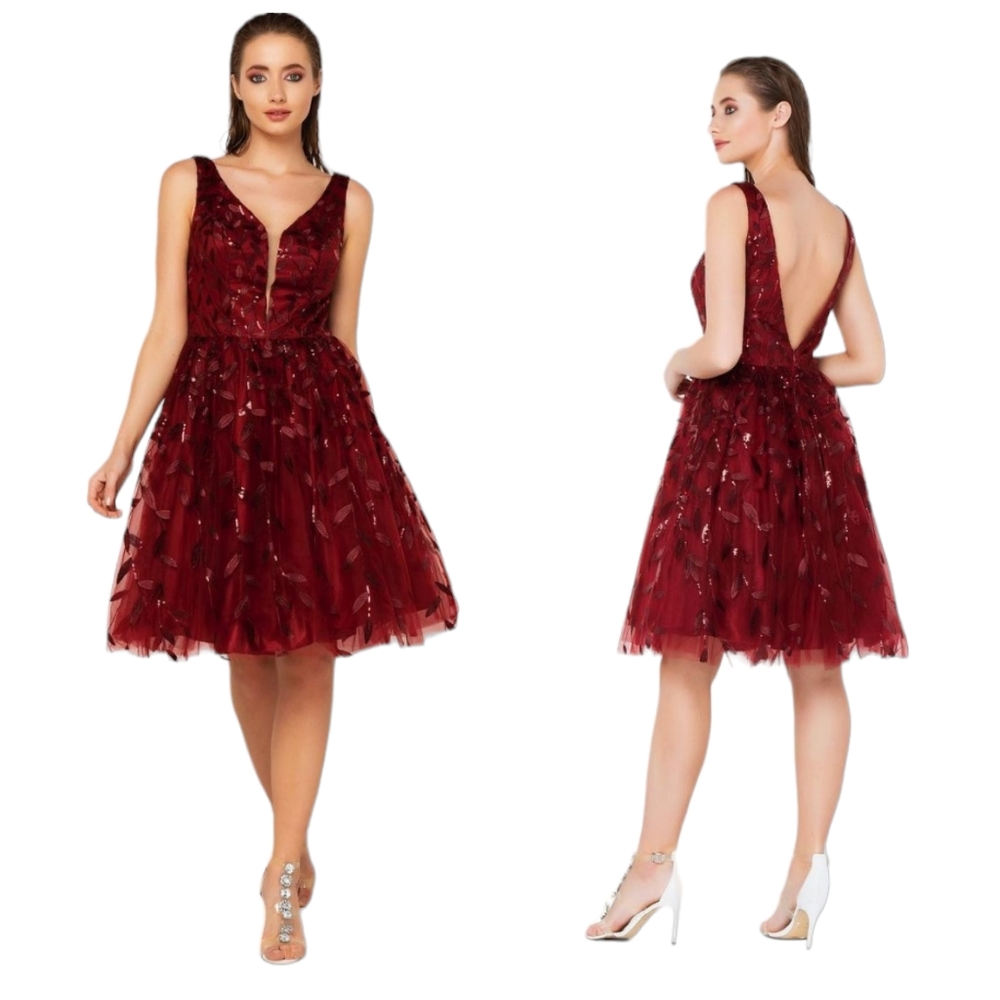 Maroon V-Neck Tank Tulle Sequin Embroidered Ballet Open Back Prom Formal Zoey